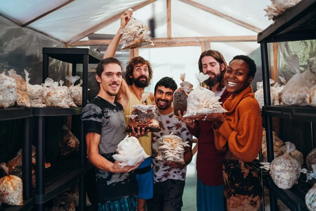 Official Fungi Academy community and cultivation image