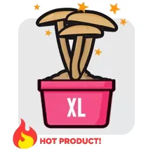 XL mushroom grow kit