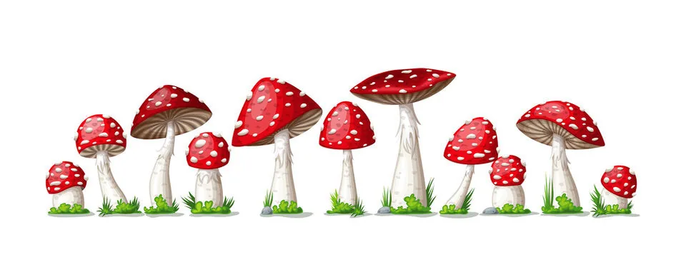 Official product/source image from FunGuyEquipment.com.