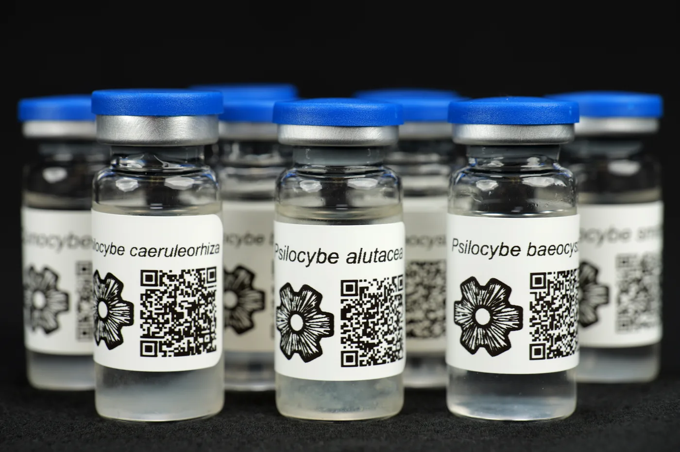 Official product/source image from SporeWorks.
