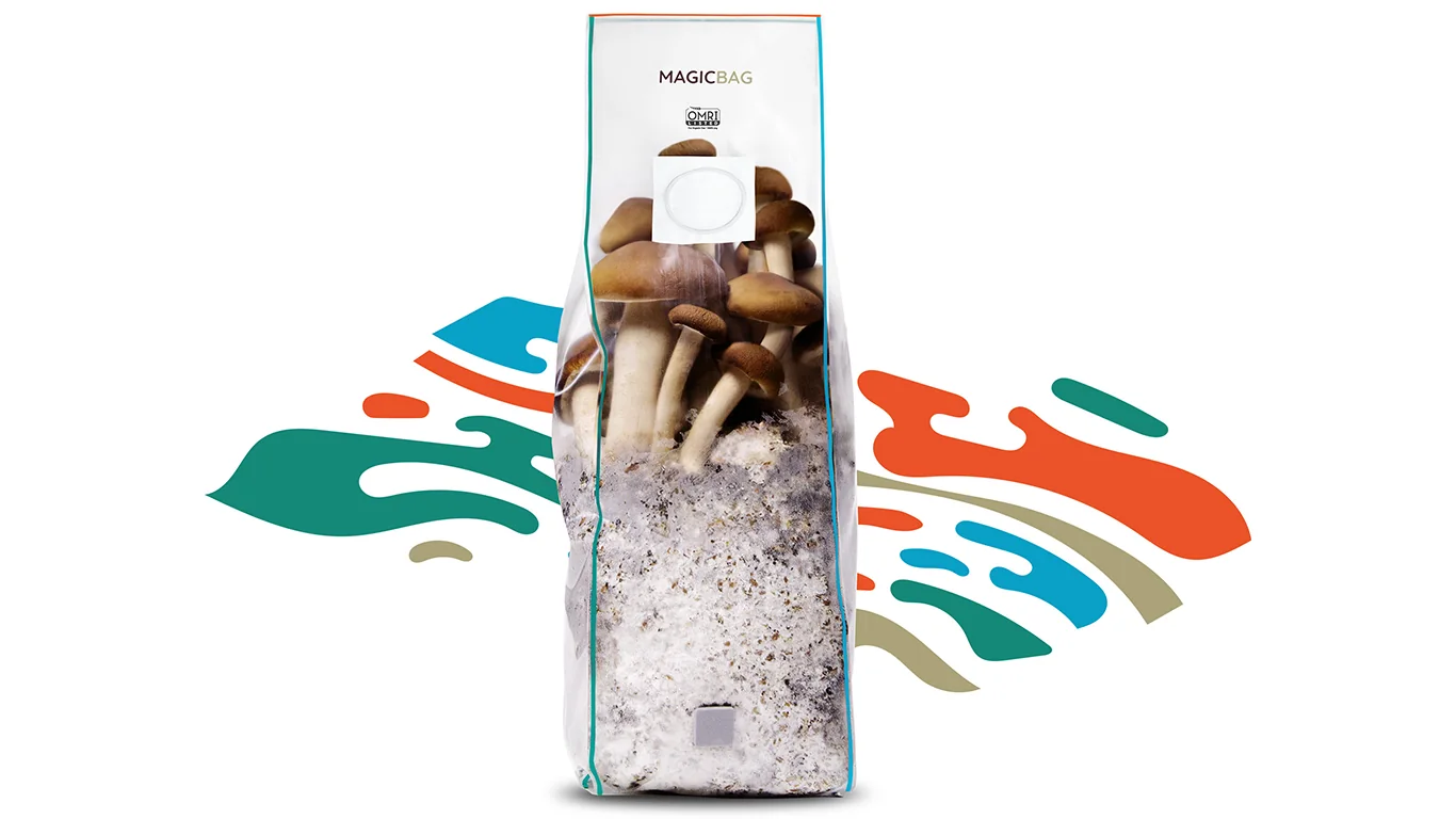 Official MagicBag source image showing an all-in-one mushroom grow bag product