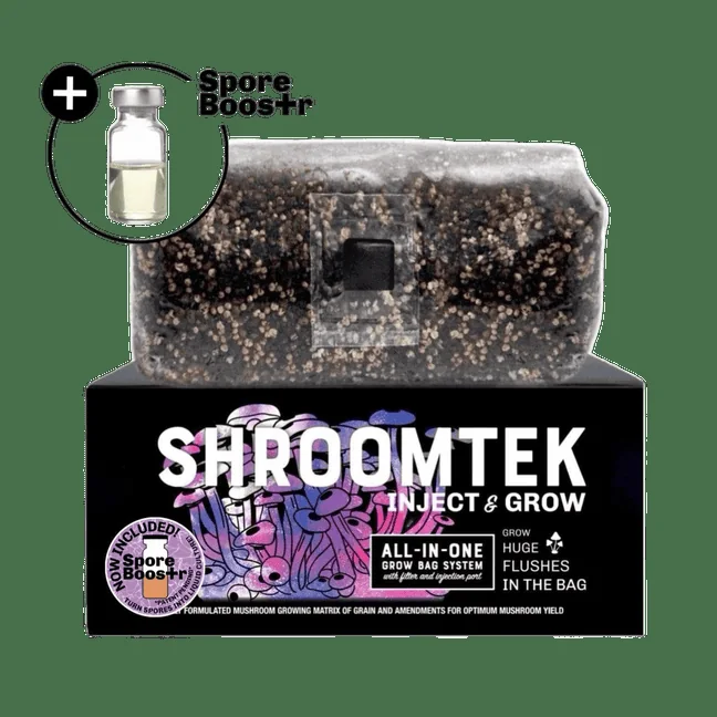 Official North Spore source image showing an all-in-one mushroom grow bag product