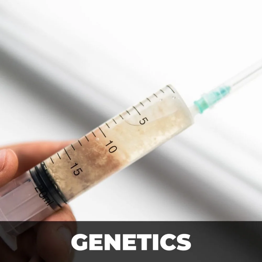 Official PlanetSpores.ca category image for genetics products
