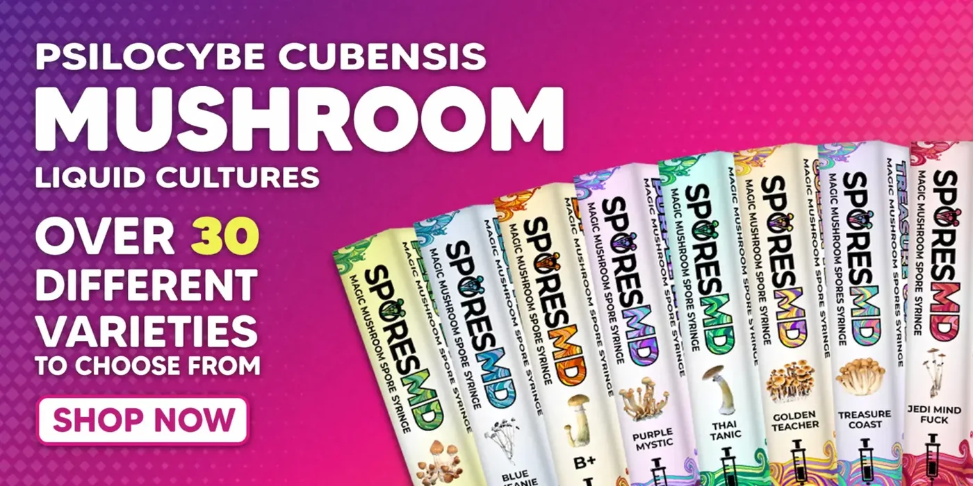 Official SporesMD site image showing mushroom-culture product category artwork