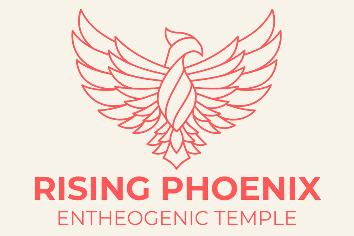 Rising Phoenix official-site image used for source-backed research context