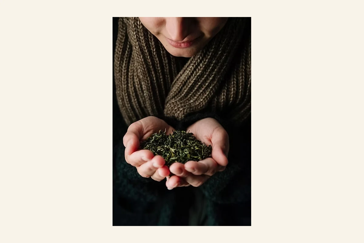 Forest Floor DC source-backed public image