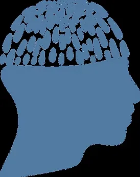 Mycology Psychology official-site source image 2