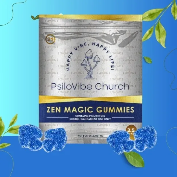Psilovibe Church official-site source image 3