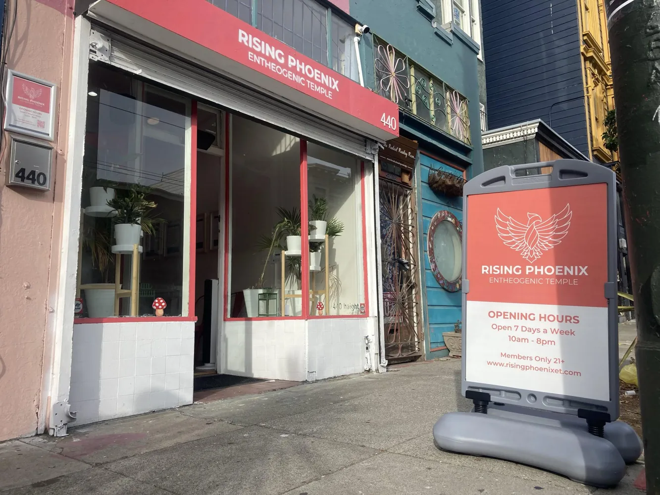 Rising Phoenix Entheogenic Temple — Haight Street official-site source image 1